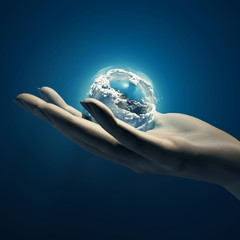 Wall Mural - earth in hand