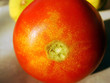 Ugly organic tomato with blemishes