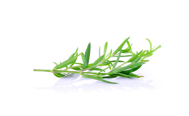 Tarragon herbs on white background