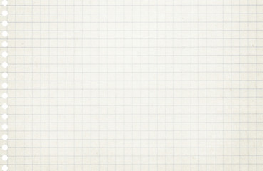Squared light grey, white copybook, notebook paper texture