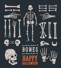 Halloween. Set Of Cartoon Skulls And Bones. Vector Illustration.