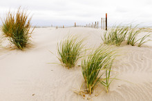 White Sand Dunes With A Fence And Grass.