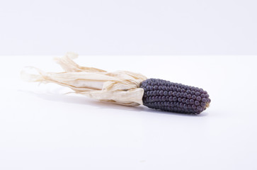 Dry corn isolated on white background