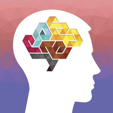 Profile Of A Human Head With A Colored Low Poly Symbol Of The Br