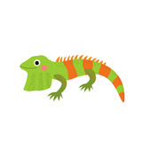 Fototapeta Dinusie - Iguana lizard reptile animal cartoon character. Isolated on white background. Vector illustration.