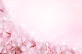 Fototapeta Kwiaty - pink flower frame in soft vintage tone for wedding or valentine card 