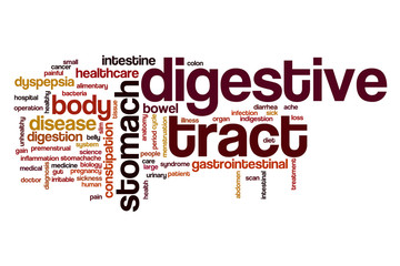 Wall Mural - Digestive tract word cloud