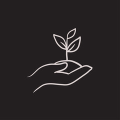 Wall Mural - Hands holding seedling in soil sketch icon.