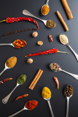 Poster - Various spices in spoons.