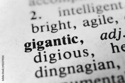 Fényképezés  Gigantic