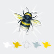Bumblebee vector drawing. Insects art set. Handwork. Top view