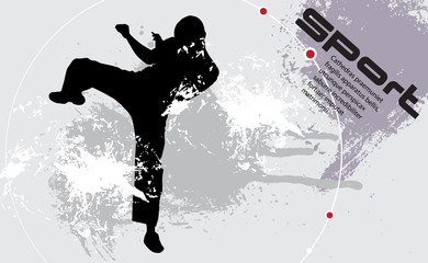 Wall Mural - Vector of karate