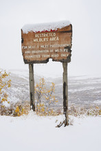 Restricted Area Sign Entering Sable Pass Covered In Snow In Autumn Denali National Park;Alaska United States Of America