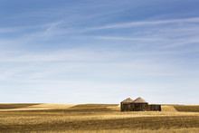 Old Wooden Grain Bins In A Cut Stubble Field With Blue Sky And Hazy Clouds, Alberta, Canada
