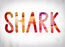 Shark Concept Watercolor Word Art
