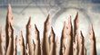 © Sergey Nivens - Group of people with raised hands . Mixed media