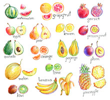 Collection Of Hand Drawn Bright Stylish Fruits