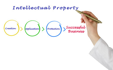 Wall Mural - Intellectual property diagram