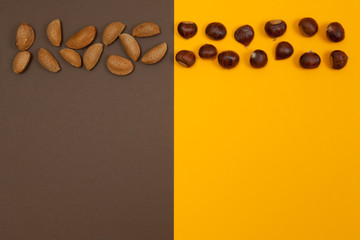 Wall Mural - Nuts in row on  brown and orange split background