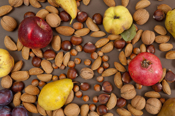 Wall Mural - Organic autumn fruits and in shell nuts on brown background