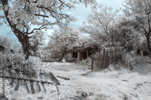 Infrared landscape and details Poster Mural XXL