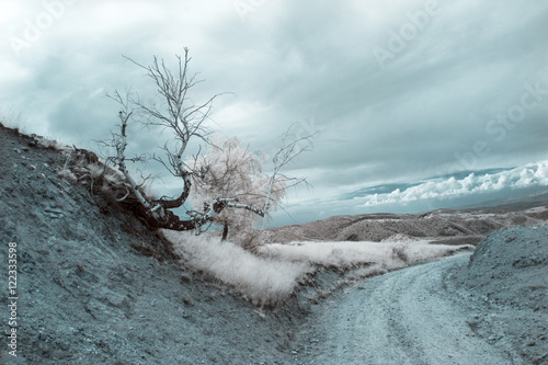 Fotomural Infrared landscape and details