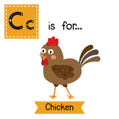 C letter tracing. Happy Chicken. Cute children zoo alphabet flash card. Funny cartoon animal. Kids abc education. Learning English vocabulary. Vector illustration.