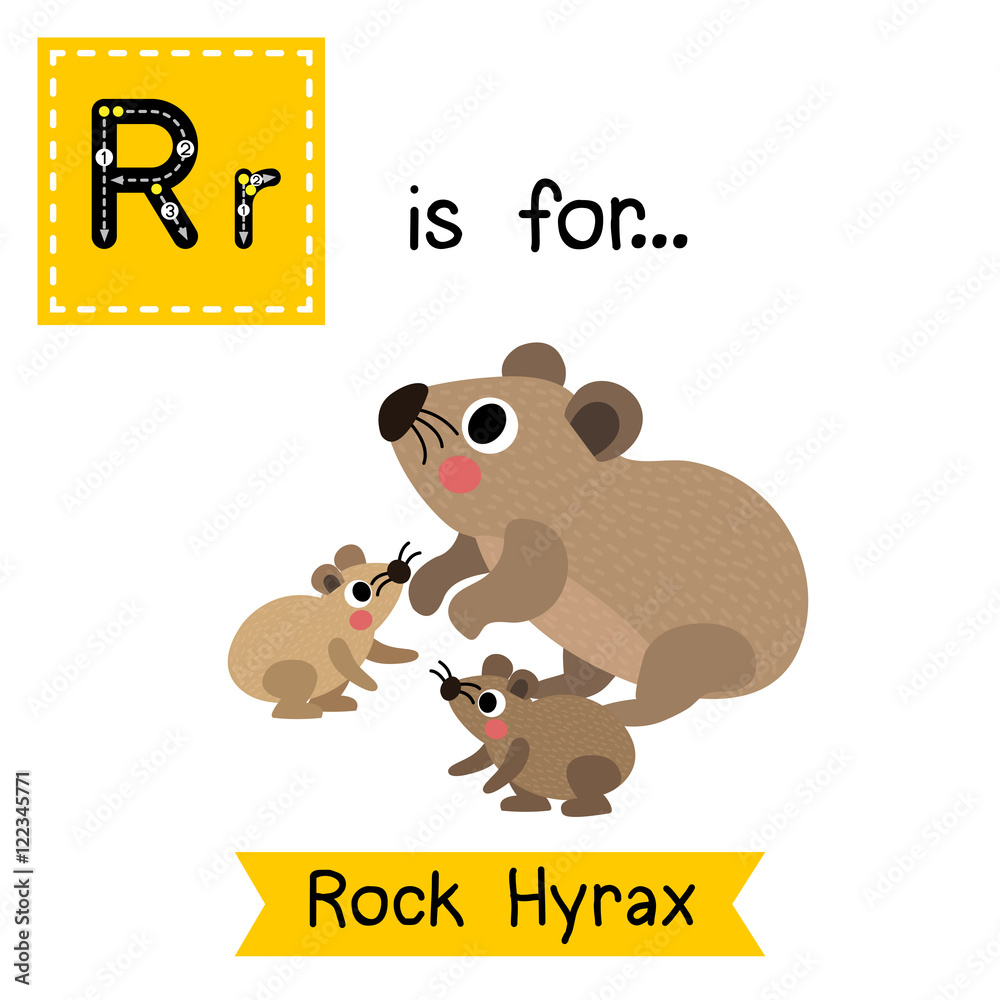 R letter tracing. Rock Hyrax family side view. Cute children zoo ...