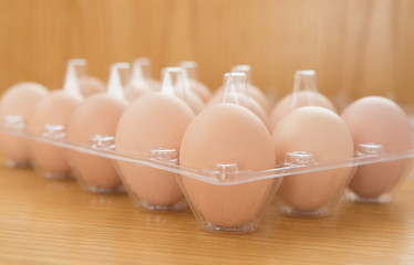 Wall Mural - fresh eggs in a plastic package