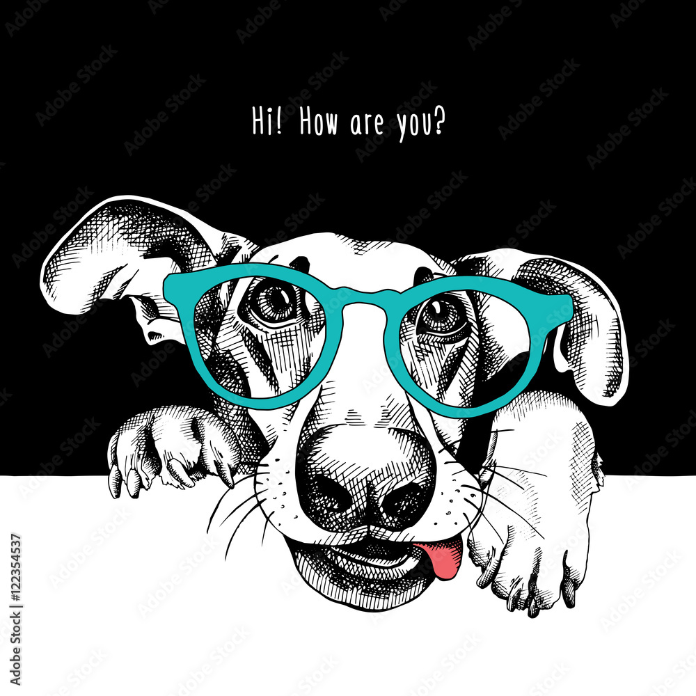 Portrait of a funny dog in glasses. Vector illustration. Stock Vector ...