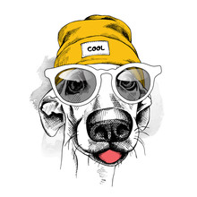 Portrait Of Dog In A Yellow Hipster Hat And With Glasses. Vector Illustration.