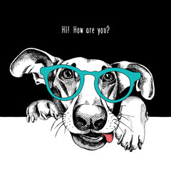 Wall Mural - Portrait of a funny dog in glasses. Vector illustration.