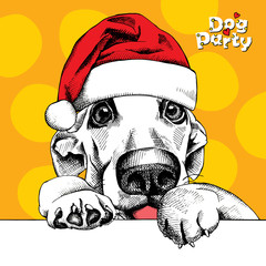 Christmas card. Funny dog portrait in a Santa's hat on yellow background. Vector illustration.