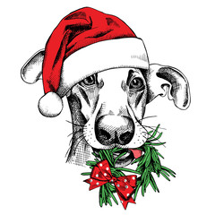 Christmas card. Funny dog portrait in a Santa's hat with needles wreath. Vector illustration.