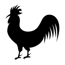 Cock Silhouette On A White Background