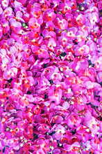 Artificial Purple Vanda Orchid Flower Background