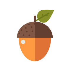Wall Mural - Flat design oak arcon nut vector illustration.