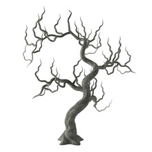 Spooky Gnarled Halloween Tree With Long Bare Branches Isolated On White Background. 3D Illustration.