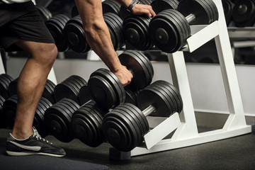 Wall Mural - Close up of dumbbells lying in a row