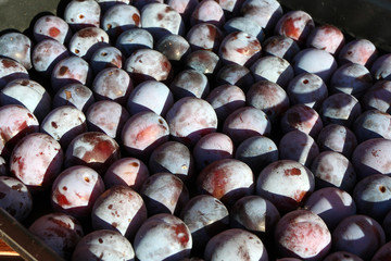 Wall Mural - Freshly collected ripe blue plums organized in rows for transportation in the autumn garden