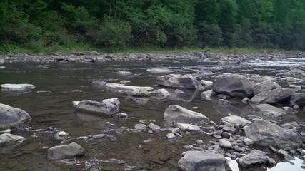Poster - River with clear blue water different white and blue stones in the forester. On the shore green grass and trees.