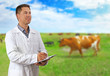 © Africa Studio - Professional expert with clipboard on blurred cow pasture background. Dairy product concept.
