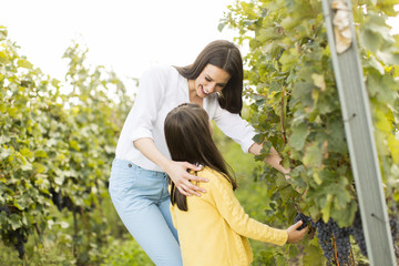 Wall Mural - Mother and daughter in vineyard