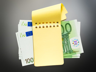 Wall Mural - One hundred euro banknotes and yellow notepad