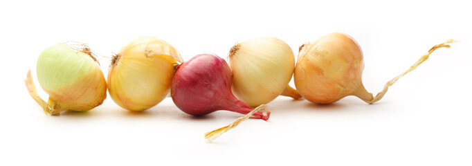 Wall Mural - Fresh onion on the white background