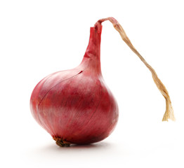 Wall Mural - Fresh red onion