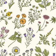 Wall Mural - Wild flowers and herbs. Seamless floral pattern. Vector vintage illustration.