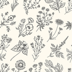 Wall Mural - Wild flowers and herbs. Seamless floral pattern. Vector vintage illustration.