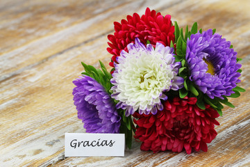 Wall Mural - Gracias (thank you in Spanish) with colorful aster flower bouquet
