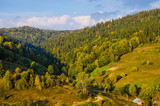 Fototapeta Na ścianę - Carpathian mountains landscape